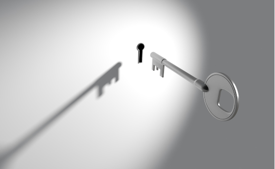 digital accessibility the Key to open doors.png